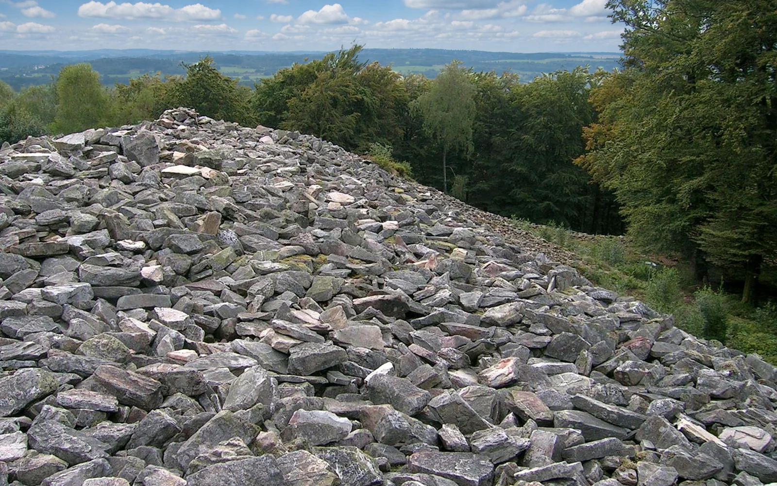 Gipfel des Dollberg