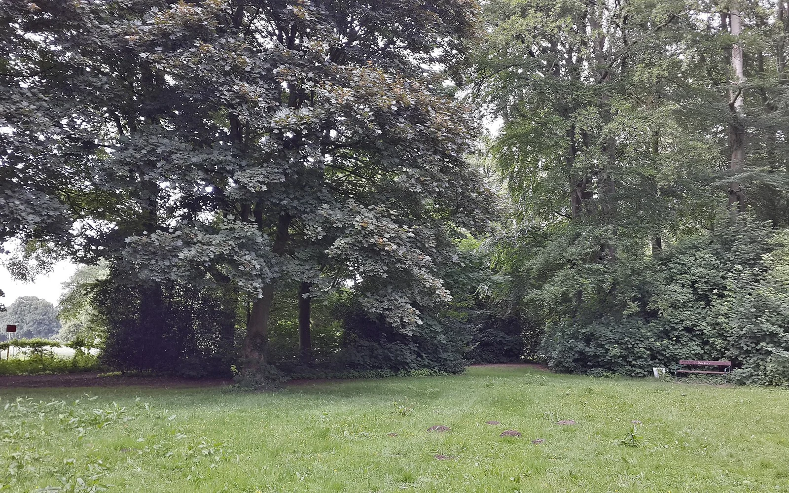 Gipfel des Friedehorstpark