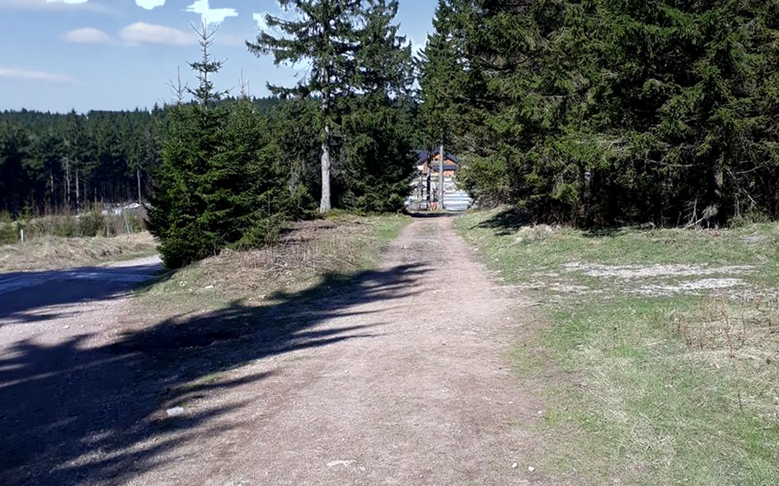 Gipfel des Großer Beerberg