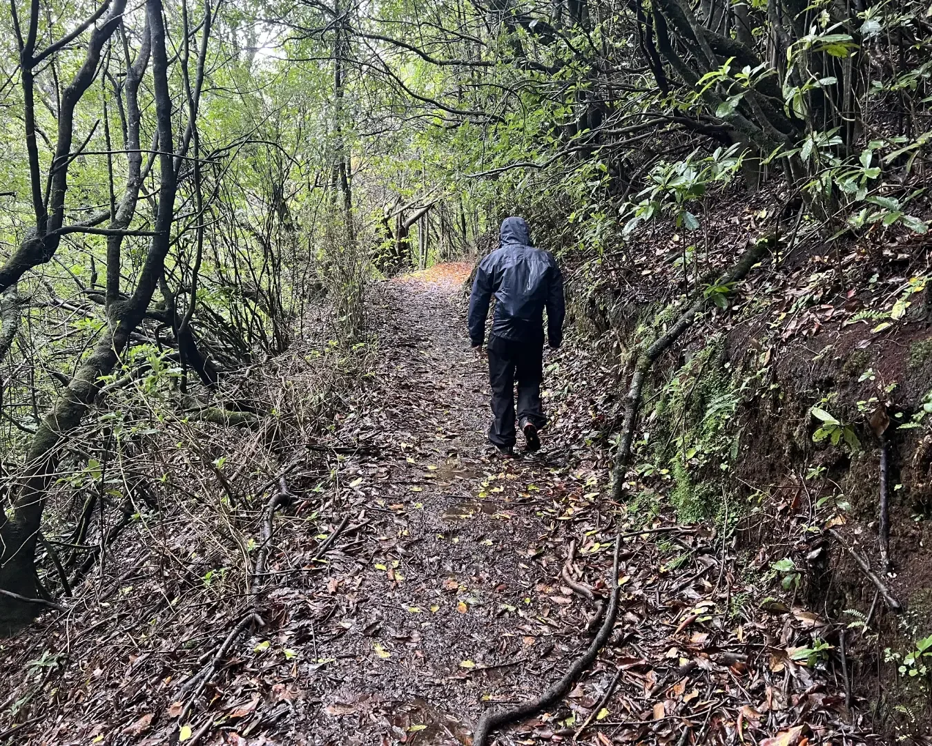 Wandern oder Trekking: Was ist eigentlich der Unterschied?