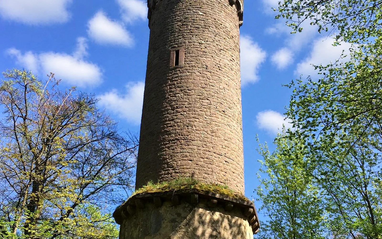 Gipfel des Katzenbuckel