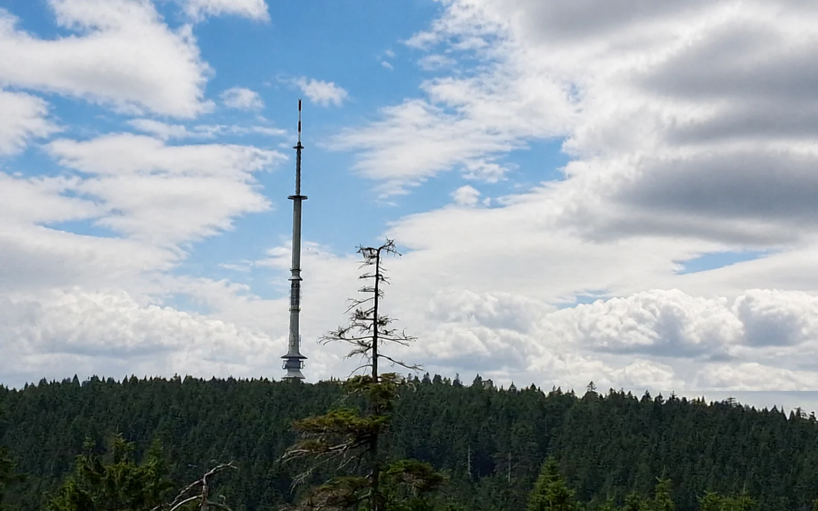 Gipfel des Ochsenkopf